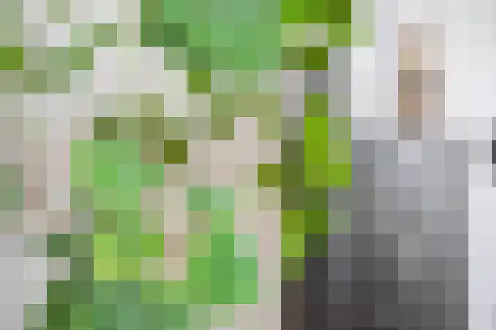 Noorderwerf 7 Gouda thumbnail 13
