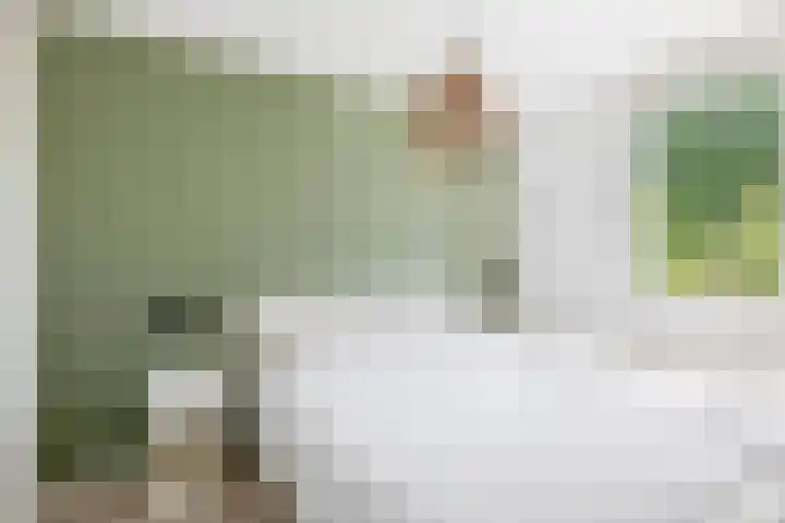 Noorderwerf 7 Gouda thumbnail 20
