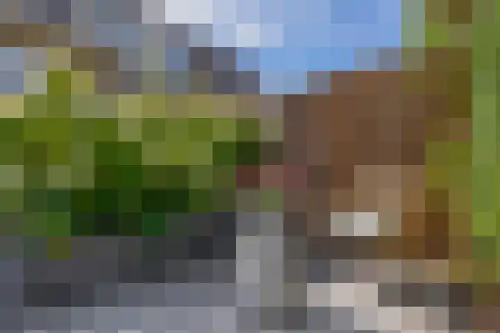 Noorderwerf 7 Gouda thumbnail 33