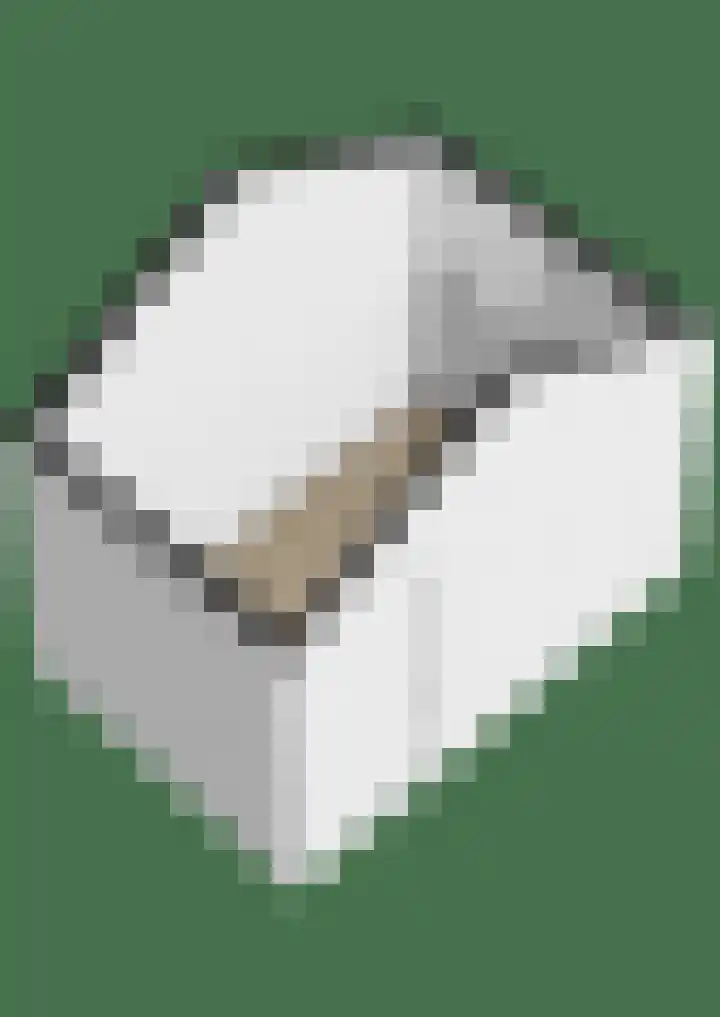 Noorderwerf 7 Gouda thumbnail 43
