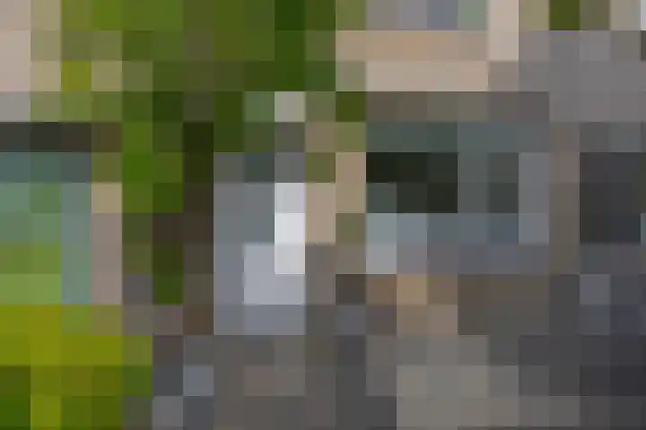 Noorderwerf 7 Gouda thumbnail 7
