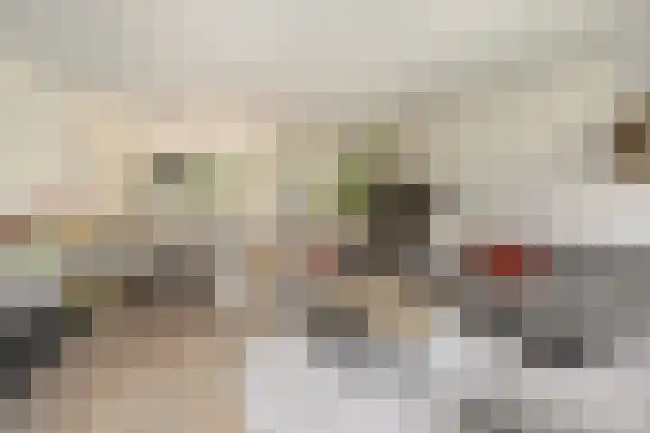 Noorderwerf 7 Gouda thumbnail 9