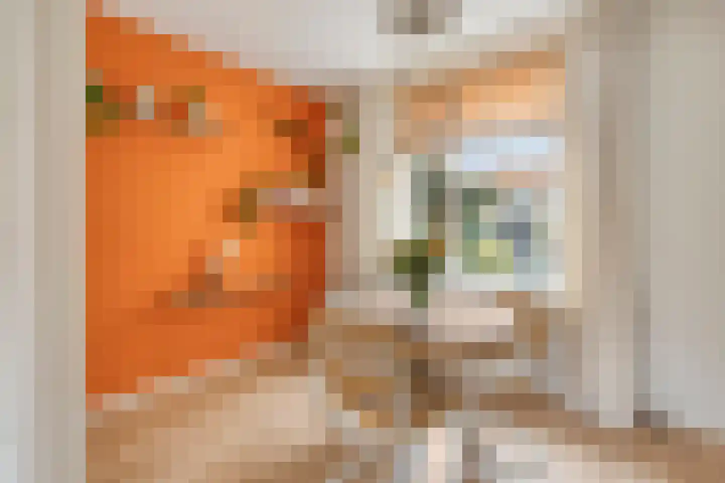 Noorderwerfstraat 9 Marken thumbnail 15