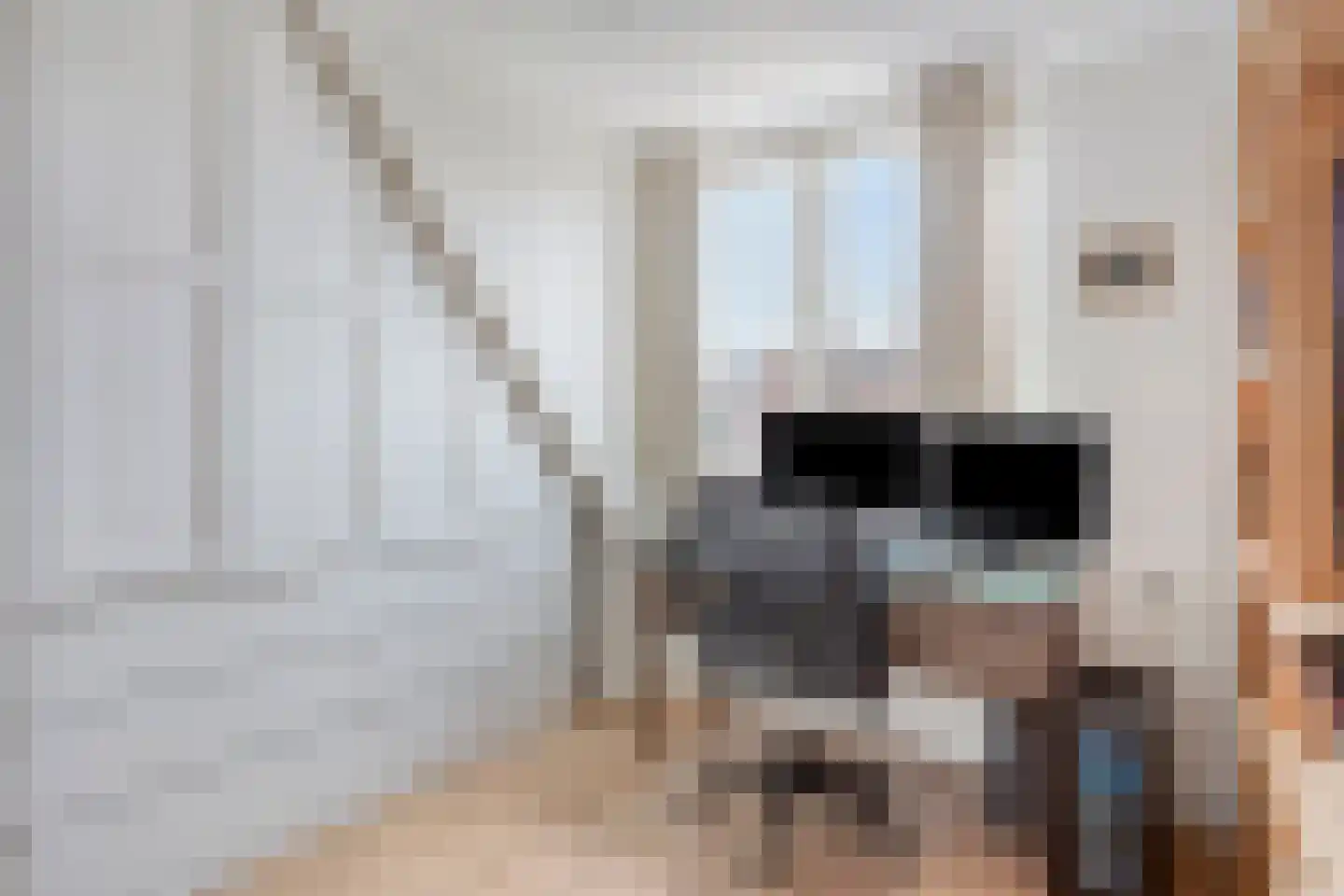 Noorderwerfstraat 9 Marken thumbnail 36