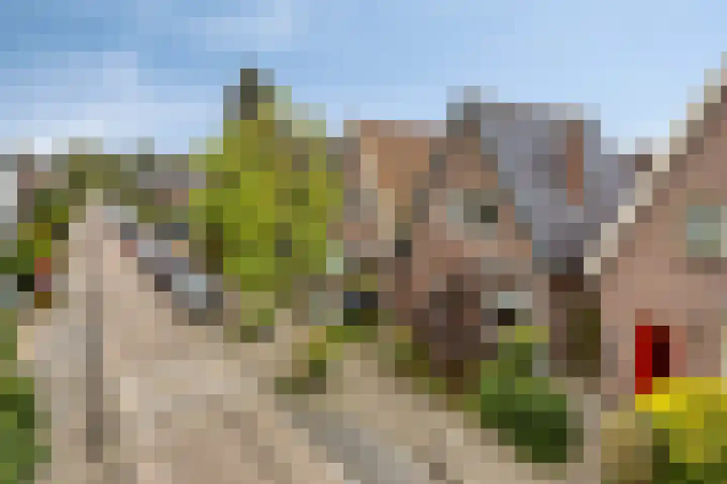 Noorderwijkweg 21 Beverwijk thumbnail 22