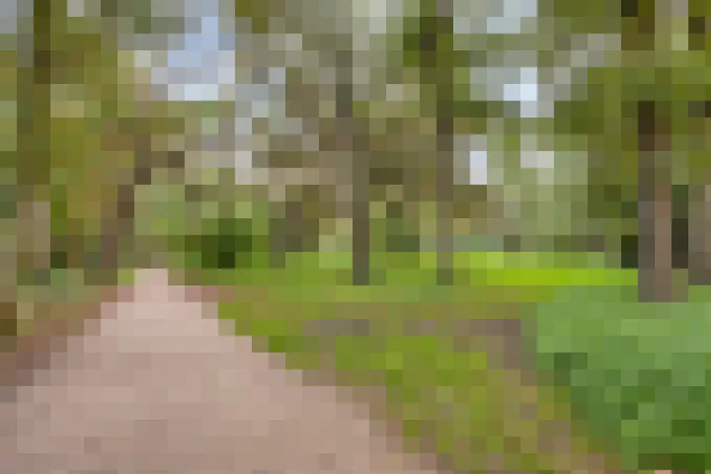 Noorderwijkweg 21 Beverwijk thumbnail 27