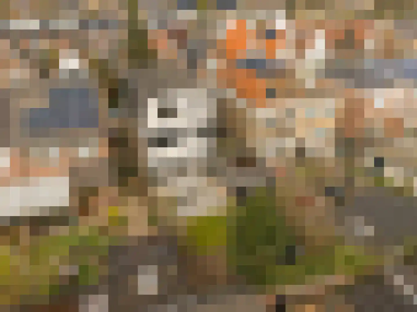 Noorderwijkweg 36 Beverwijk thumbnail 47