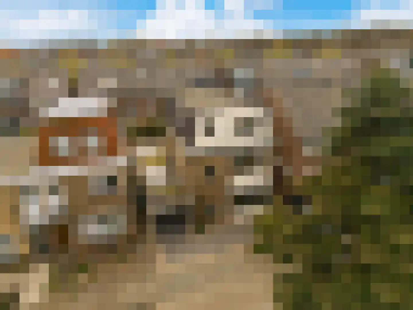 Noorderwijkweg 36 Beverwijk thumbnail 7