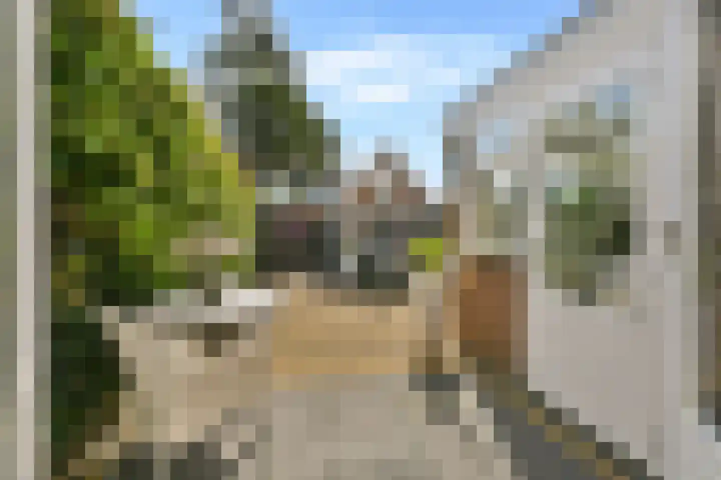 Noorderwijkweg 96 Beverwijk thumbnail 19