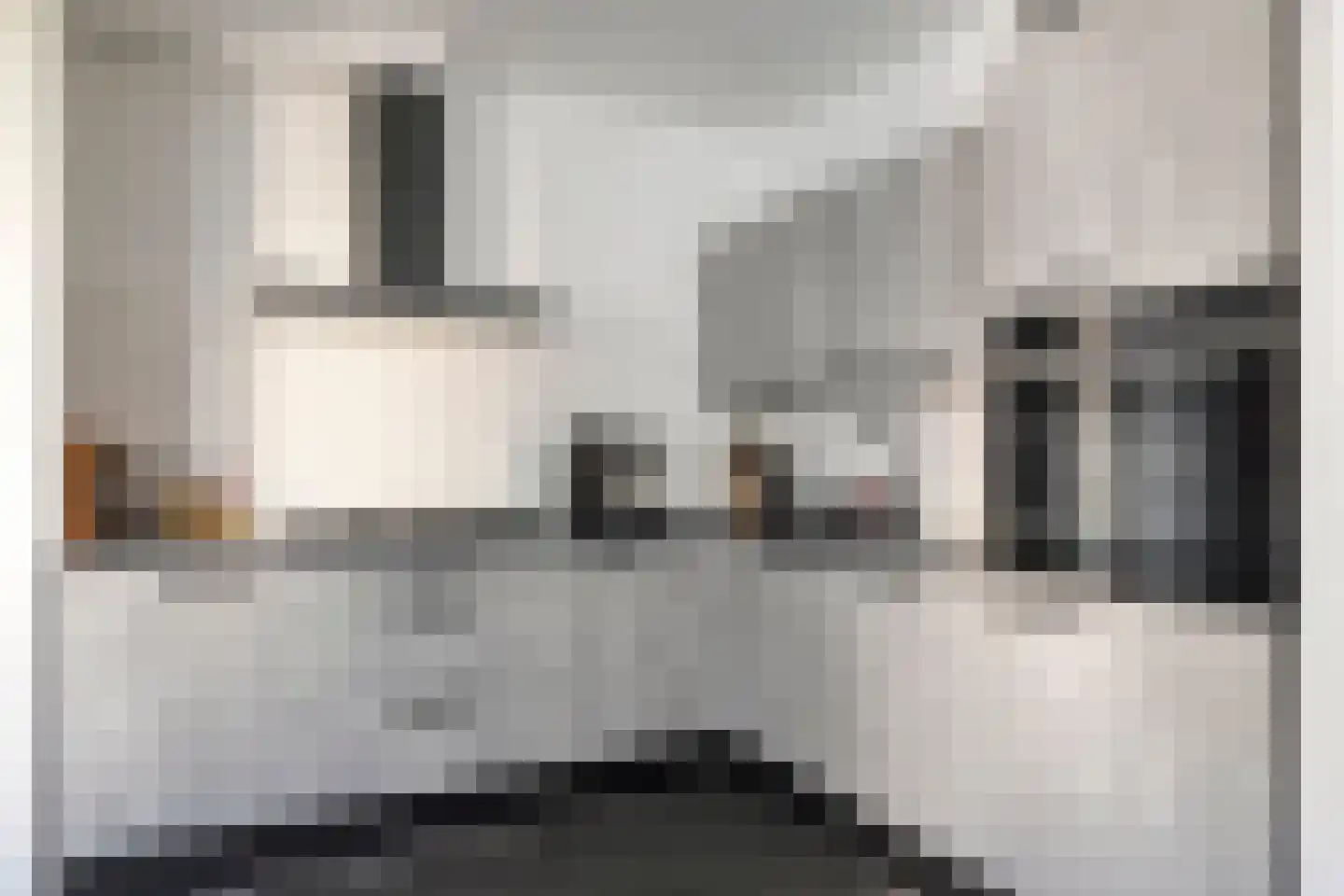 Noorderzate 14 Bunschoten-Spakenburg thumbnail 12