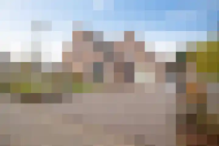 Noordes 10 Annen foto 2