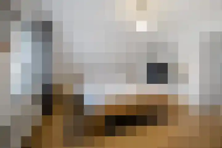 Noordes 10 Annen thumbnail 23