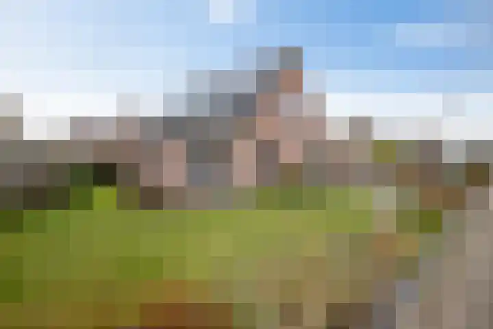 Noordes 10 Annen thumbnail 4