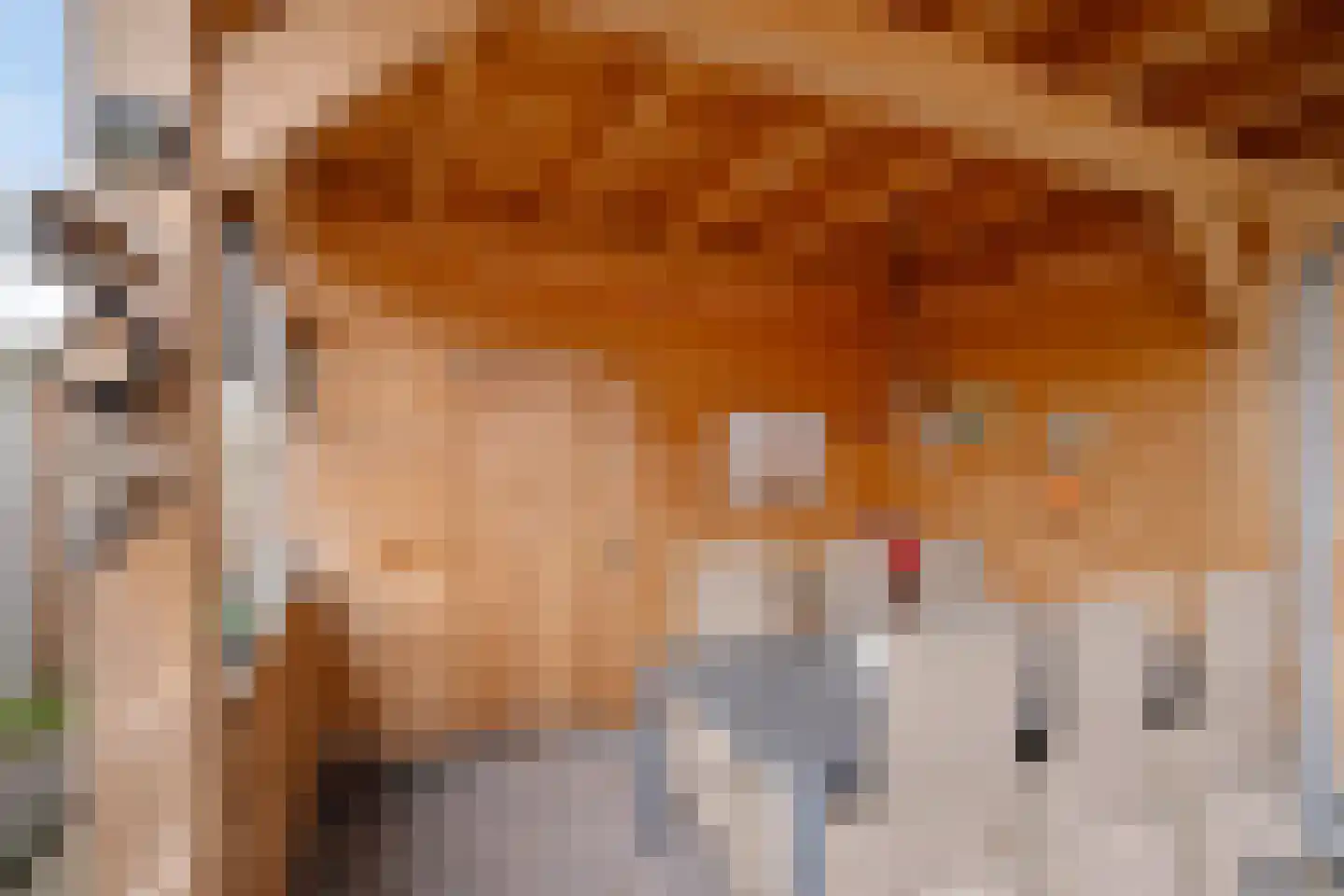 Noordes 10 Annen thumbnail 40