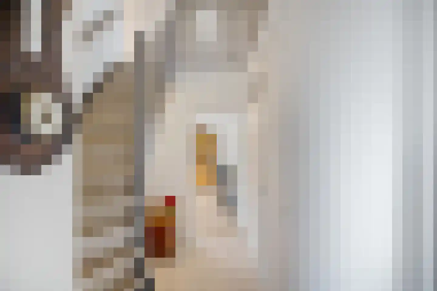 Noordes 10 Annen thumbnail 6
