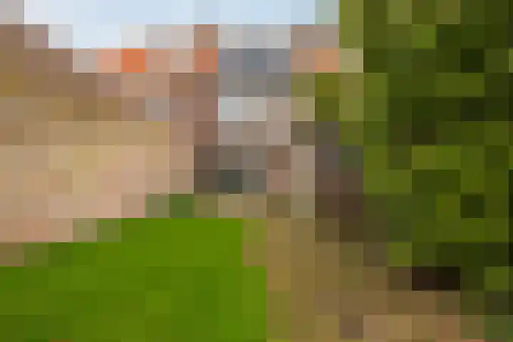 Noordewierweg 106 Amersfoort thumbnail 11