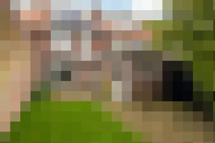 Noordewierweg 106 Amersfoort thumbnail 12
