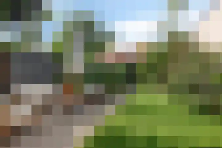 Noordewierweg 118 Amersfoort thumbnail 24