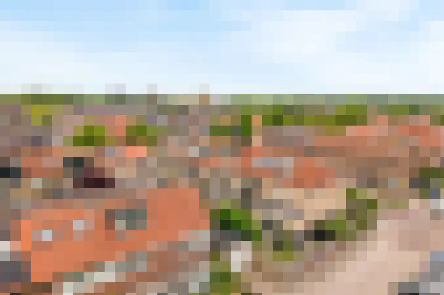 Noordewierweg 165 Amersfoort thumbnail 45