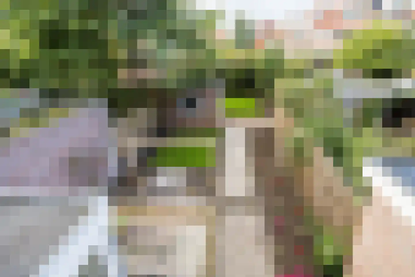 Noordewierweg 168 Amersfoort thumbnail 43