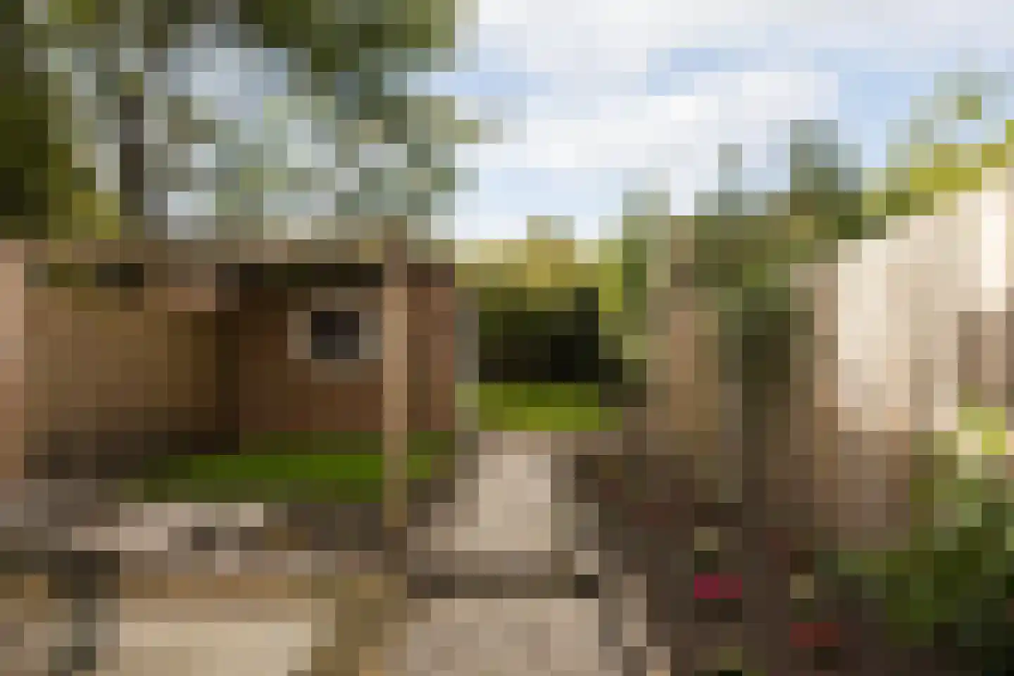 Noordewierweg 168 Amersfoort thumbnail 44
