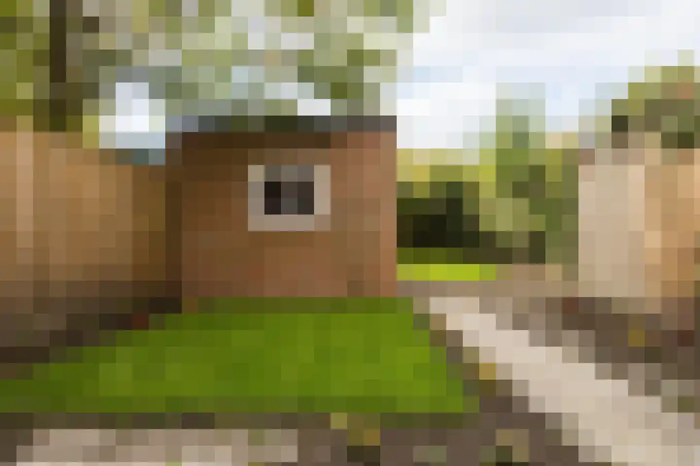 Noordewierweg 168 Amersfoort thumbnail 47