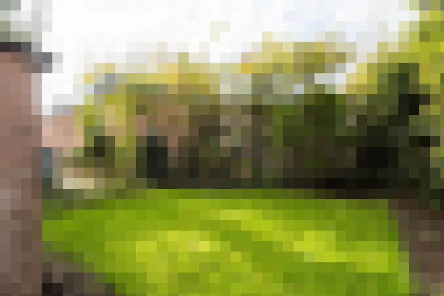 Noordewierweg 168 Amersfoort thumbnail 48
