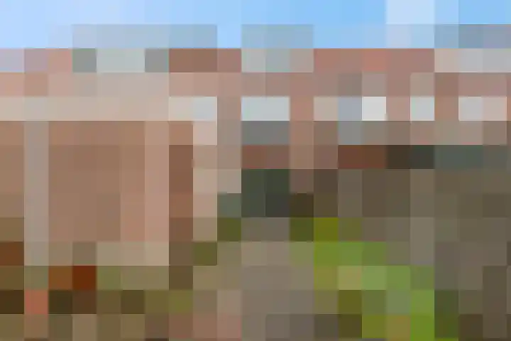 Noordewierweg 183 Amersfoort thumbnail 36