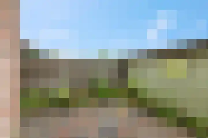 Noordewierweg 183 Amersfoort thumbnail 37