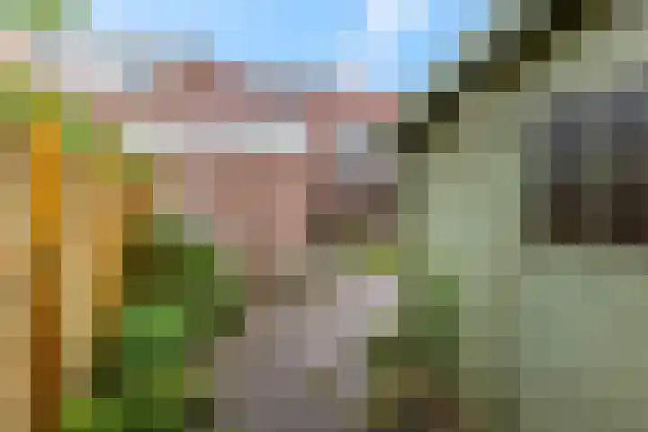 Noordewierweg 183 Amersfoort thumbnail 39