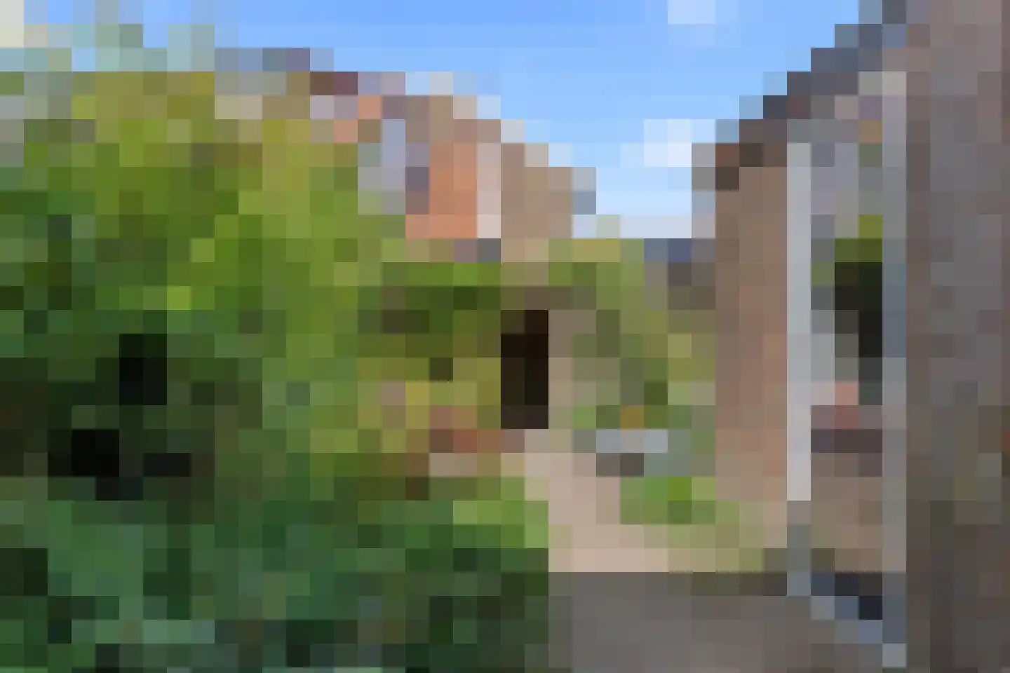 Noordewierweg 211 Amersfoort thumbnail 56