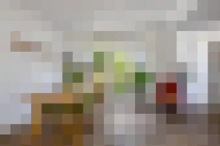 Noordewierweg 223 Amersfoort thumbnail 18