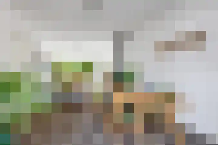 Noordewierweg 223 Amersfoort thumbnail 20