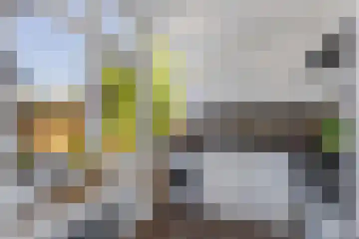 Noordewierweg 223 Amersfoort thumbnail 29