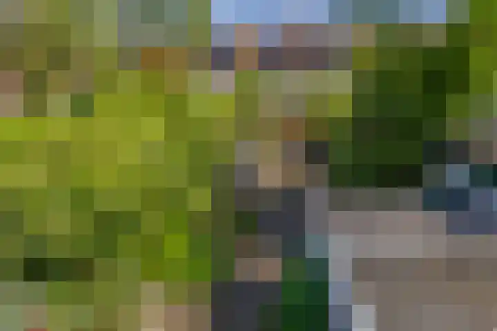 Noordewierweg 223 Amersfoort thumbnail 33