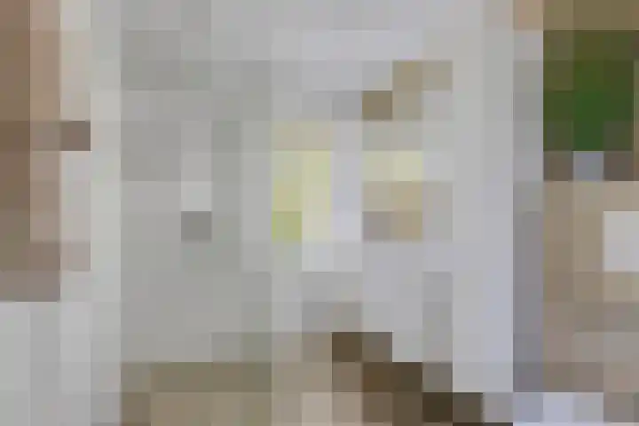Noordewierweg 223 Amersfoort thumbnail 39