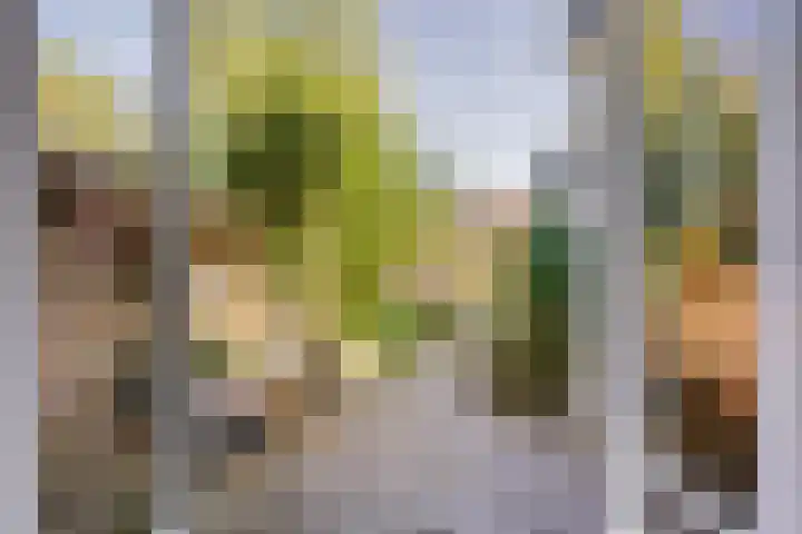 Noordewierweg 223 Amersfoort thumbnail 47