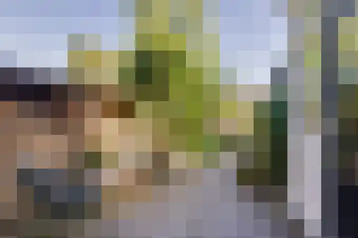 Noordewierweg 223 Amersfoort thumbnail 48