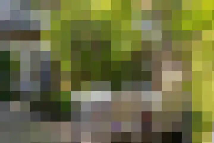 Noordewierweg 223 Amersfoort thumbnail 51