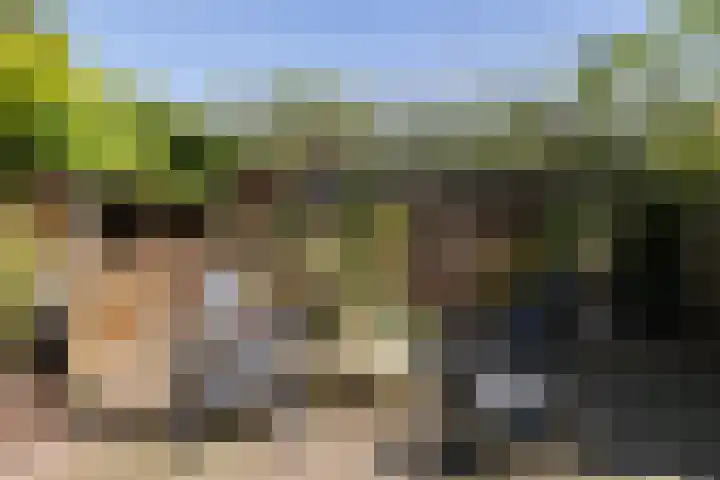 Noordewierweg 223 Amersfoort thumbnail 53