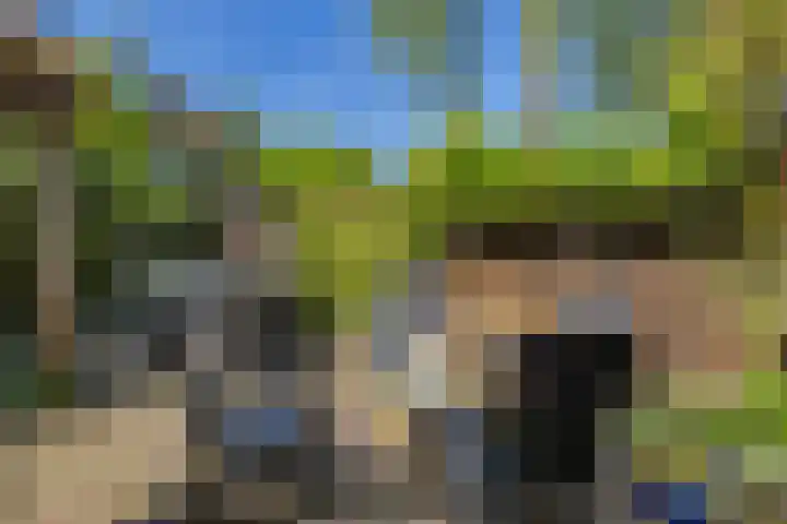 Noordewierweg 223 Amersfoort thumbnail 54