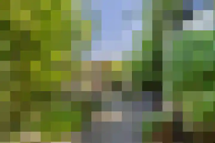 Noordewierweg 223 Amersfoort thumbnail 56