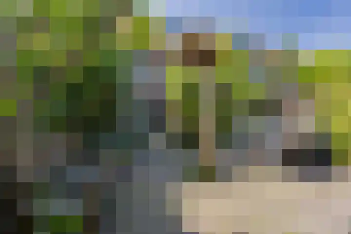 Noordewierweg 223 Amersfoort thumbnail 57