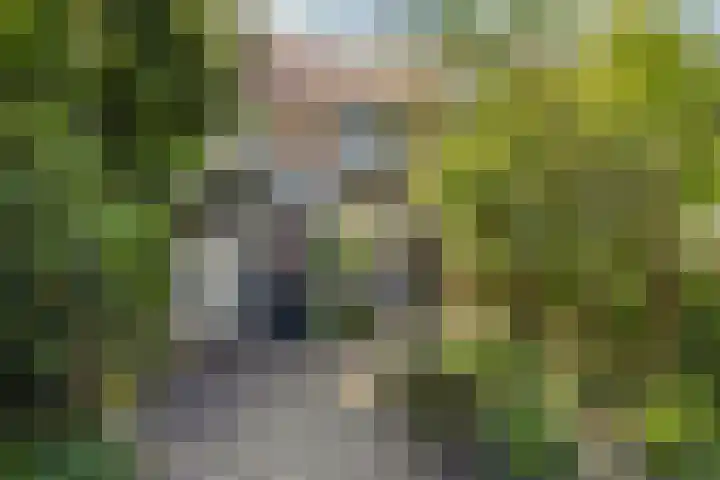 Noordewierweg 223 Amersfoort thumbnail 58