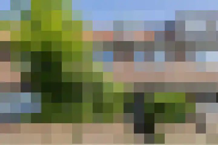 Noordewierweg 223 Amersfoort thumbnail 59