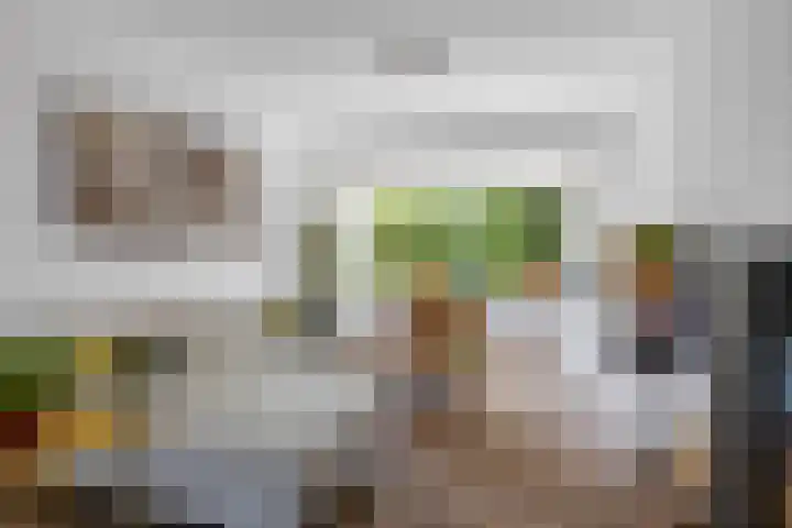 Noordewierweg 223 Amersfoort thumbnail 8