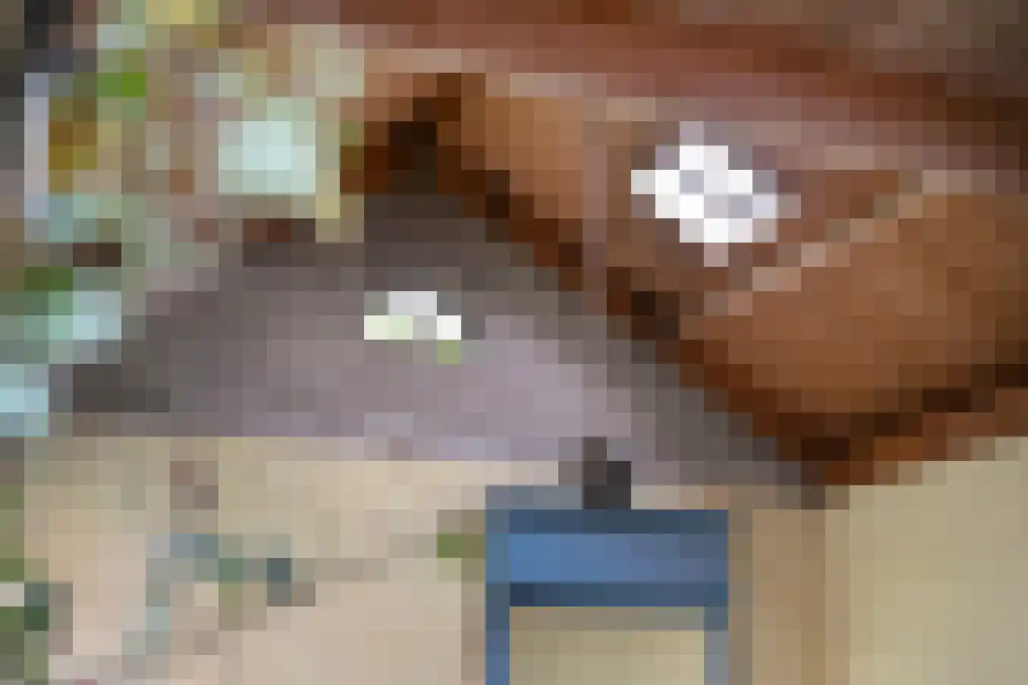 Noordewierweg 50 Amersfoort thumbnail 33