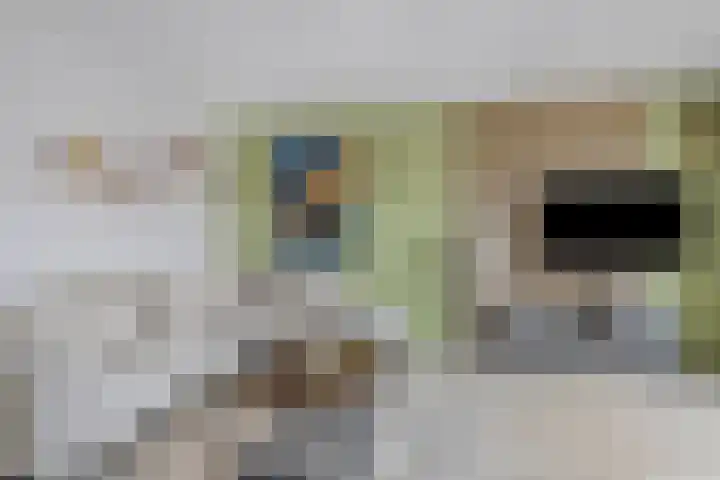 Noordewierweg 6 E Amersfoort thumbnail 10