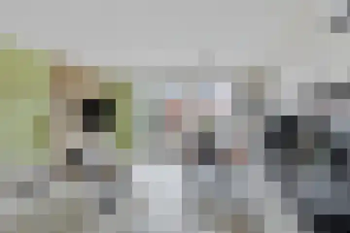 Noordewierweg 6 E Amersfoort thumbnail 8