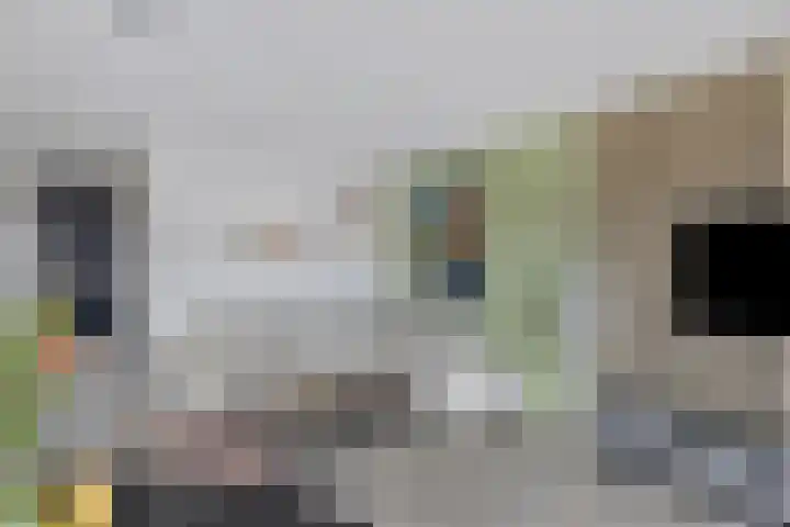 Noordewierweg 6 E Amersfoort thumbnail 9
